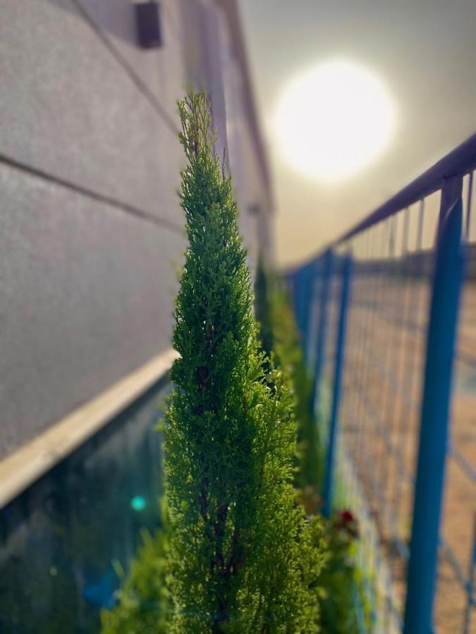 Taif Promise Villa Εξωτερικό φωτογραφία